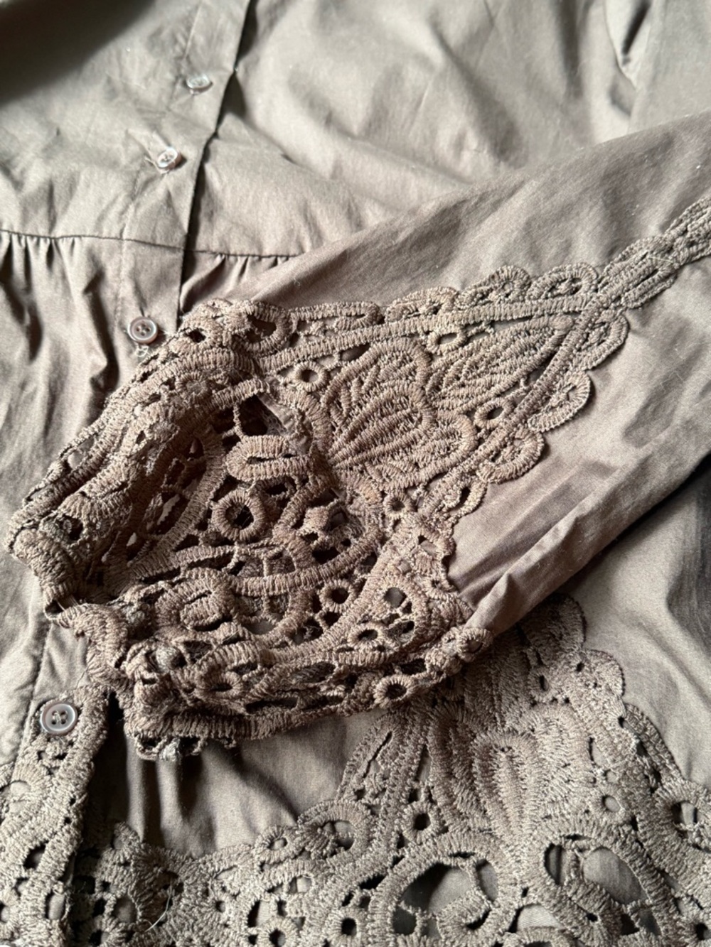 Cato Brown Eyelet Hem Poplin Button-Front Peplum Lace Top NWOT Size Large - Picture 5 of 8